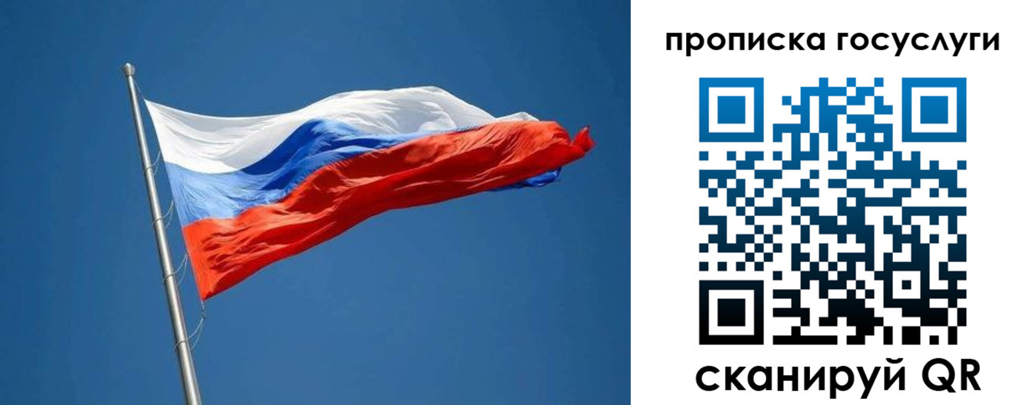 прописка от собственника в Елизово